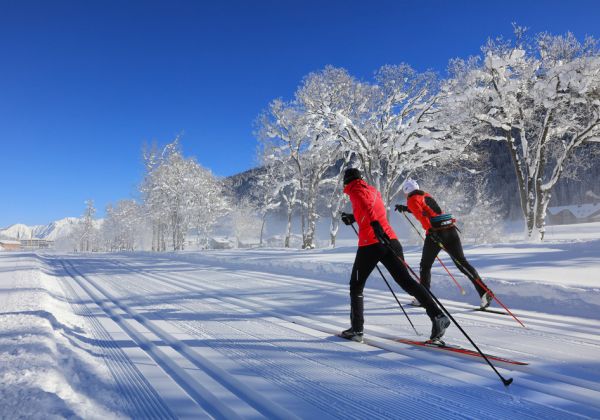 Langlauf in Davos
