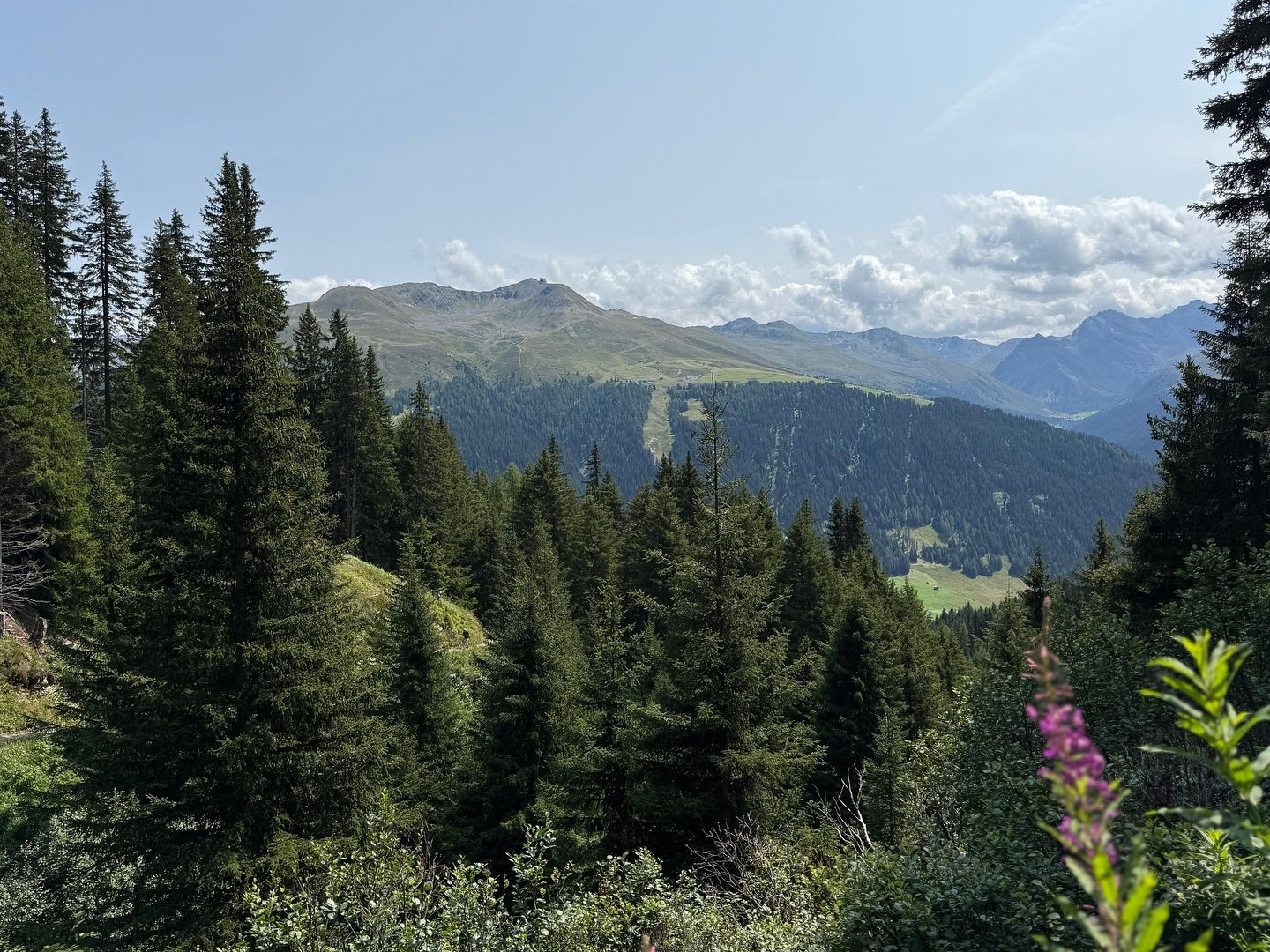 Von der Schatzalp zur Erbalp 🏔️
Bergluft atmen, den Blick schweifen lassen und einfach mal loswandern. Pure Alpenmagie! 
#schatzalp #erbalp #wanderglück #davos #bergzeit