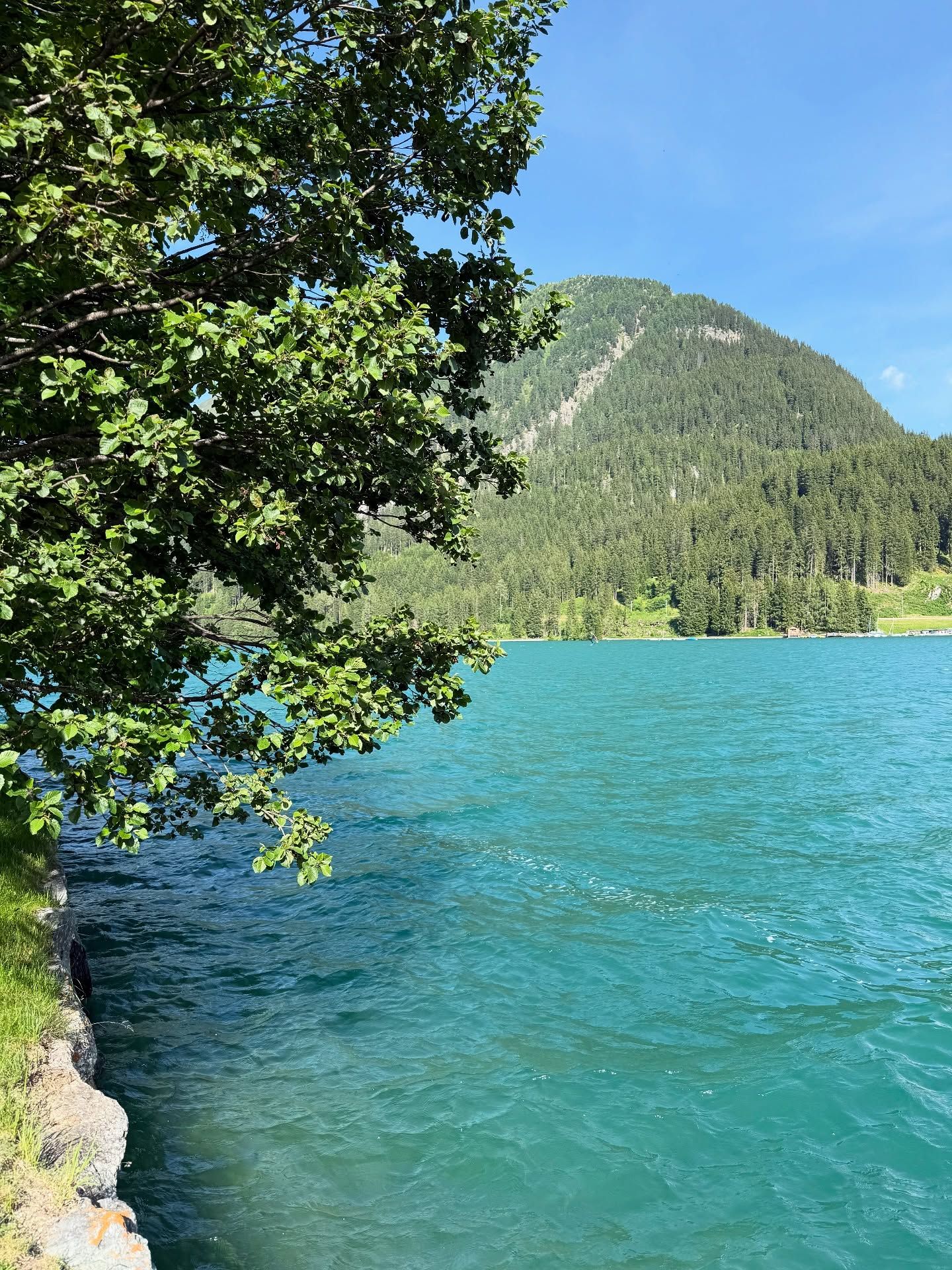 🌲💧 Sommerfrische in Davos 💧🌲
Klares Wasser, grüne Wälder und der Blick auf die Berge – der Davosersee zeigt sich von seiner schönsten Seite. Perfekt für eine kleine Auszeit mitten in der Natur. 
#Davos #Davosersee #Bergsommer #SchweizEntdecken #NatureVibes #LakeView #Wanderlust