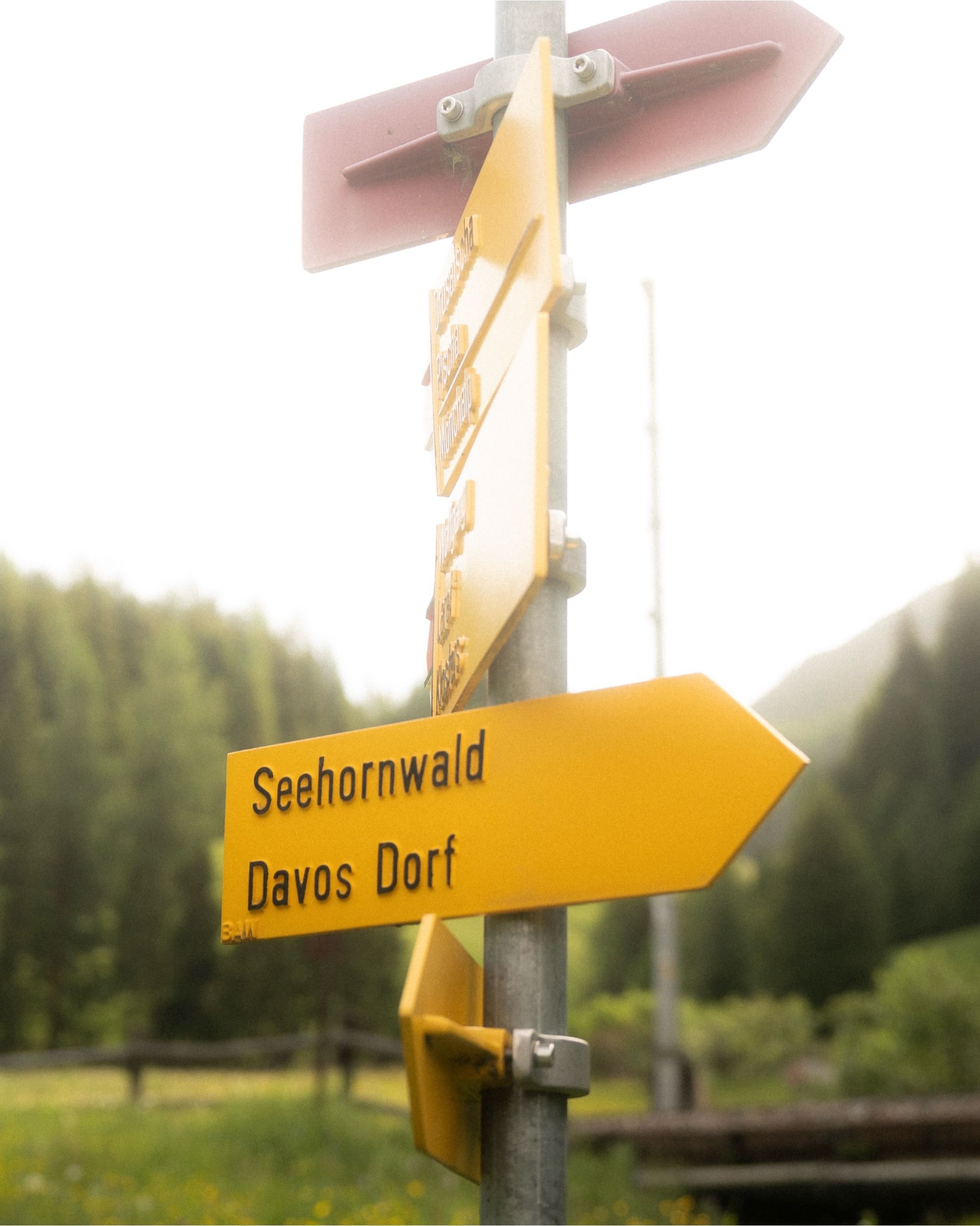 Manchmal braucht es nur einen Wegweiser und den ersten Schritt. ⛰️🥾
Der Sommer in Davos wartet.

Sometimes all it takes is a signpost and the first step. ⛰️🥾
Summer in Davos is waiting.